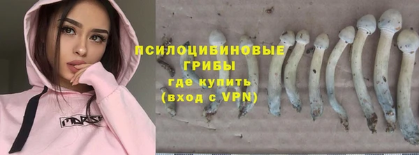 мет Алзамай