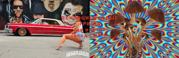 марки lsd Алексин